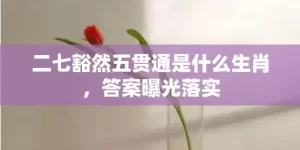 二七豁然五贯通是什么生肖，答案曝光落实