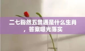 二七豁然五贯通是什么生肖，答案曝光落实