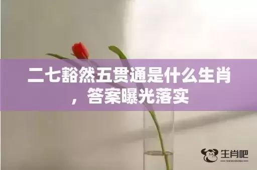 二七豁然五贯通是什么生肖，答案曝光落实