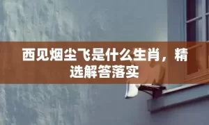 西见烟尘飞是什么生肖，精选解答落实