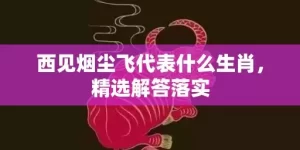 西见烟尘飞代表什么生肖，精选解答落实