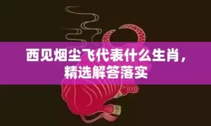 西见烟尘飞代表什么生肖，精选解答落实