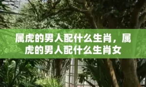 属虎的男人配什么生肖，属虎的男人配什么生肖女