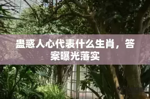 蛊惑人心代表什么生肖，答案曝光落实