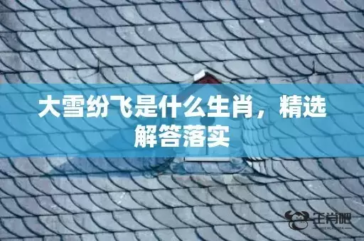 大雪纷飞是什么生肖，精选解答落实