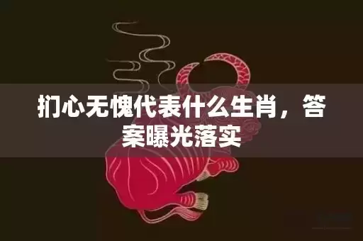 扪心无愧代表什么生肖，答案曝光落实