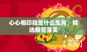 心心相印指是什么生肖，精选解答落实