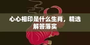 心心相印是什么生肖，精选解答落实