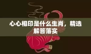 心心相印是什么生肖，精选解答落实