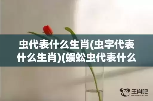 虫代表什么生肖(虫字代表什么生肖)(蜈蚣虫代表什么生肖) 虫代表什么生肖(虫字代表什么生肖)(蜈蚣虫代表什么生肖)