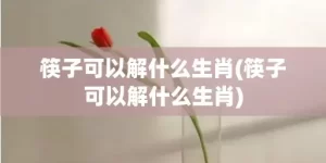 筷子可以解什么生肖(筷子可以解什么生肖)