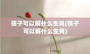 筷子可以解什么生肖(筷子可以解什么生肖)