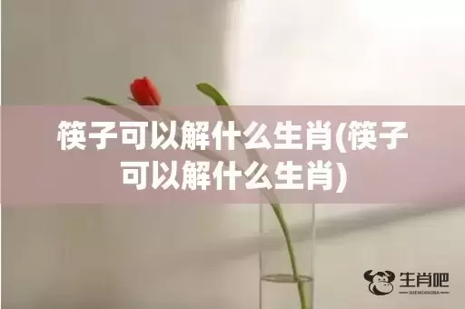 筷子可以解什么生肖(筷子可以解什么生肖)