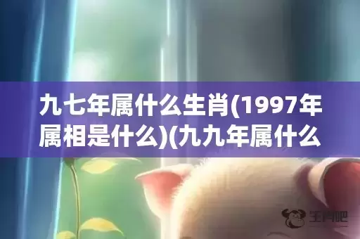 九七年属什么生肖(1997年属相是什么)(九九年属什么生肖)