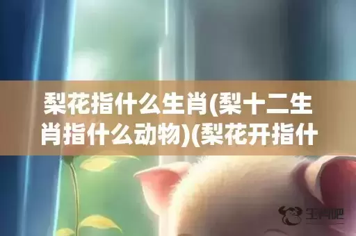 梨花指什么生肖(梨十二生肖指什么动物)(梨花开指什么生肖) 梨花指什么生肖(梨十二生肖指什么动物)(梨花开指什么生肖)