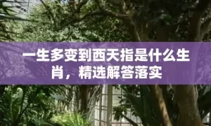 一生多变到西天指是什么生肖，精选解答落实