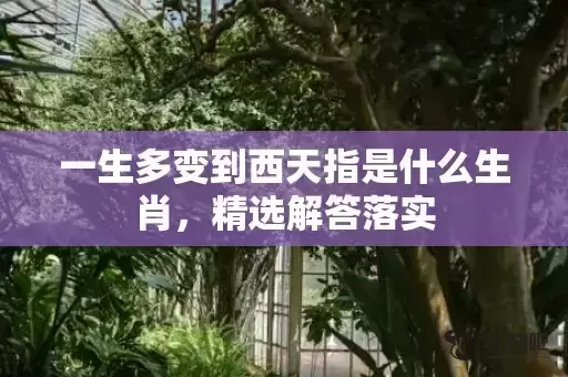 一生多变到西天指是什么生肖，精选解答落实