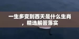 一生多变到西天是什么生肖，精选解答落实