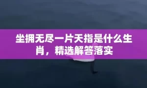 坐拥无尽一片天指是什么生肖，精选解答落实