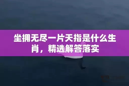 坐拥无尽一片天指是什么生肖,精选解答落实 坐拥无尽一片天指是什么生肖,精选解答落实
