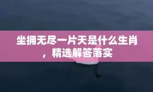 坐拥无尽一片天是什么生肖，精选解答落实