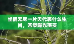 坐拥无尽一片天代表什么生肖，答案曝光落实