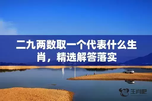 二九两数取一个代表什么生肖，精选解答落实