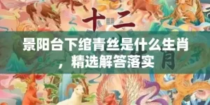 景阳台下绾青丝是什么生肖，精选解答落实