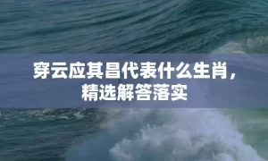 穿云应其昌代表什么生肖，精选解答落实