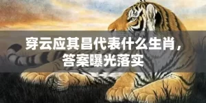 穿云应其昌代表什么生肖，答案曝光落实