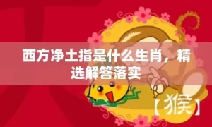 西方净土指是什么生肖，精选解答落实