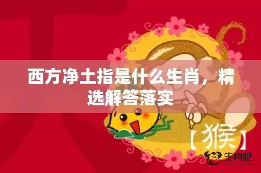 西方净土指是什么生肖，精选解答落实