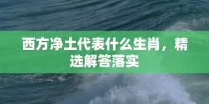 西方净土代表什么生肖，精选解答落实