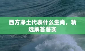 西方净土代表什么生肖，精选解答落实