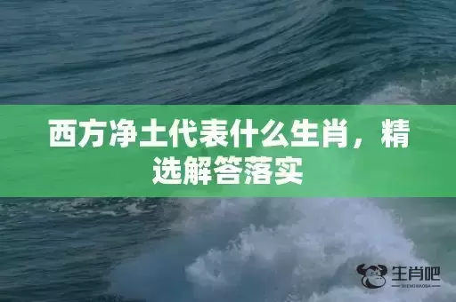 西方净土代表什么生肖，精选解答落实