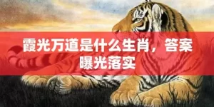 霞光万道是什么生肖，答案曝光落实