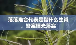 落落难合代表是指什么生肖，答案曝光落实