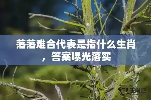 落落难合代表是指什么生肖，答案曝光落实