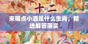 来喝点小酒是什么生肖，精选解答落实