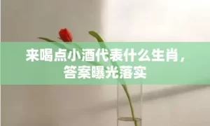 来喝点小酒代表什么生肖，答案曝光落实