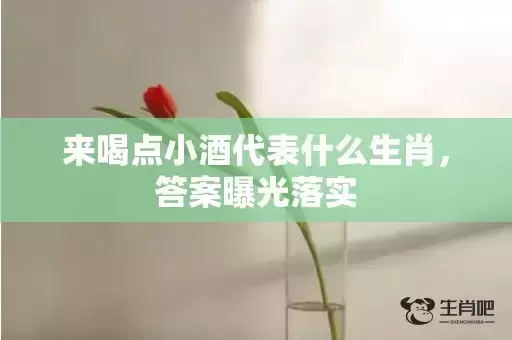 来喝点小酒代表什么生肖，答案曝光落实