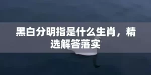 黑白分明指是什么生肖，精选解答落实