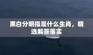 黑白分明指是什么生肖，精选解答落实