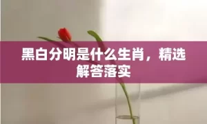 黑白分明是什么生肖，精选解答落实