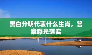 黑白分明代表什么生肖，答案曝光落实