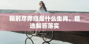 鞠躬尽瘁指是什么生肖，精选解答落实