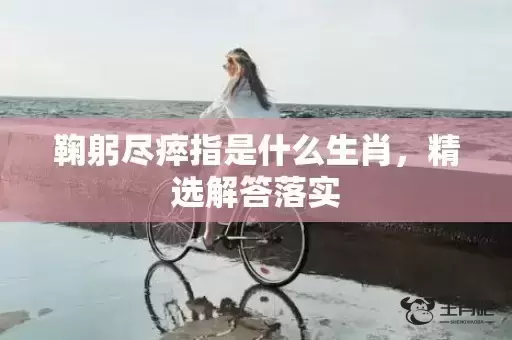鞠躬尽瘁指是什么生肖，精选解答落实