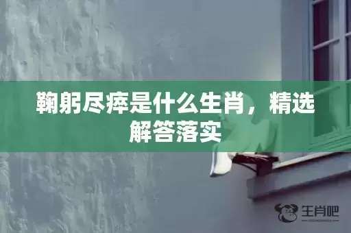 鞠躬尽瘁是什么生肖，精选解答落实