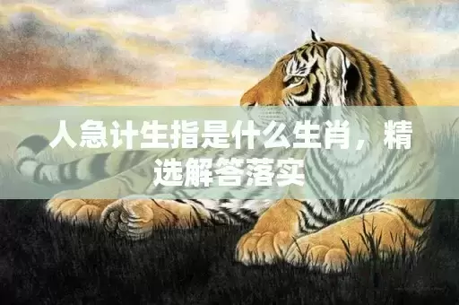 人急计生指是什么生肖，精选解答落实
