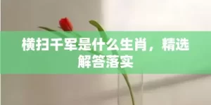 横扫千军是什么生肖，精选解答落实